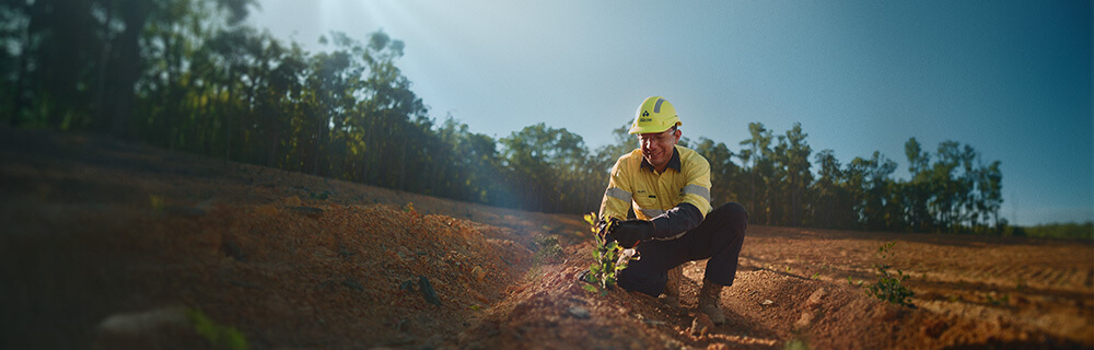 Here for the future link